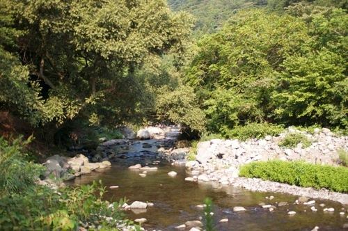 露天風呂近くを流れる川